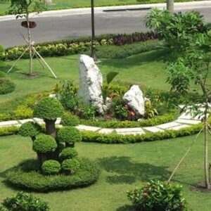 Nơi nhập dữ liệu